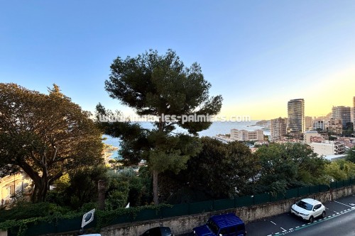 Image 6 : 3 rooms apartment in the St Roman district in Roquebrune Cap Martin