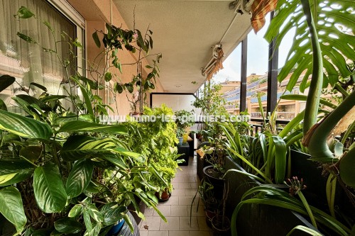 Image 7 : Appartement lumineux et spacieux au cœur de Menton